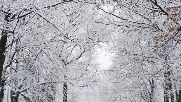 La conduite en hiver : les mythes déboulonnés